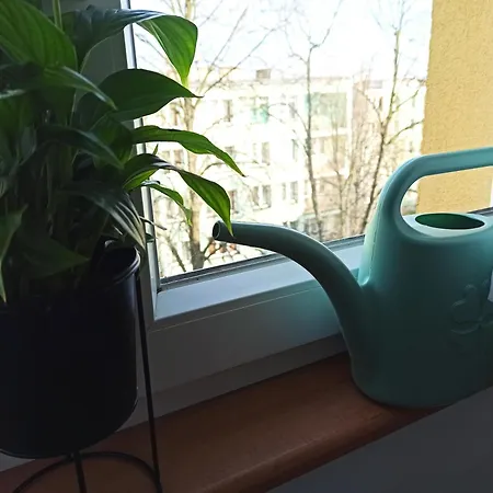 Apartamento Gagarina *