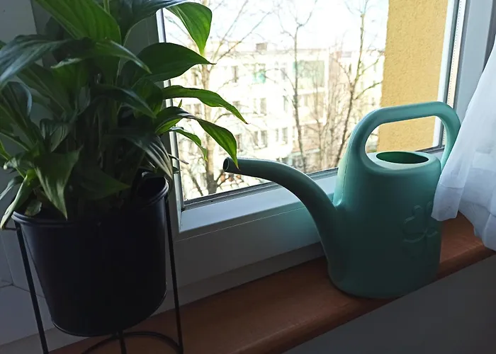 Apartamento Gagarina *